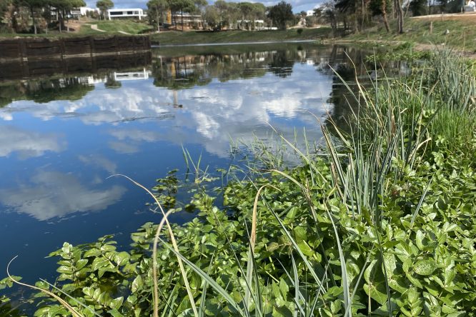 Consultoria en biodiversitat